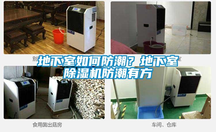 地下室如何防潮？地下室除濕機防潮有方