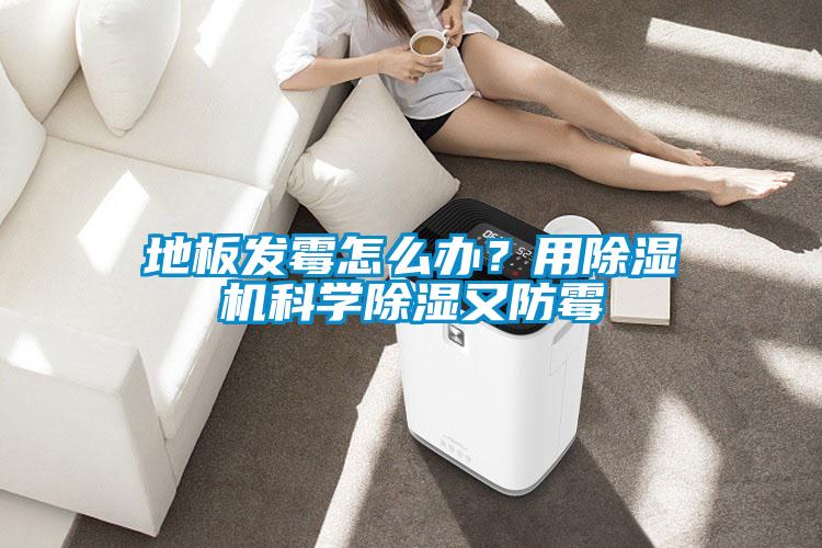 地板發霉怎么辦？用除濕機科學除濕又防霉