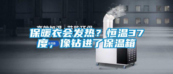 保暖衣會發熱？恒溫37度，像鉆進了保溫箱