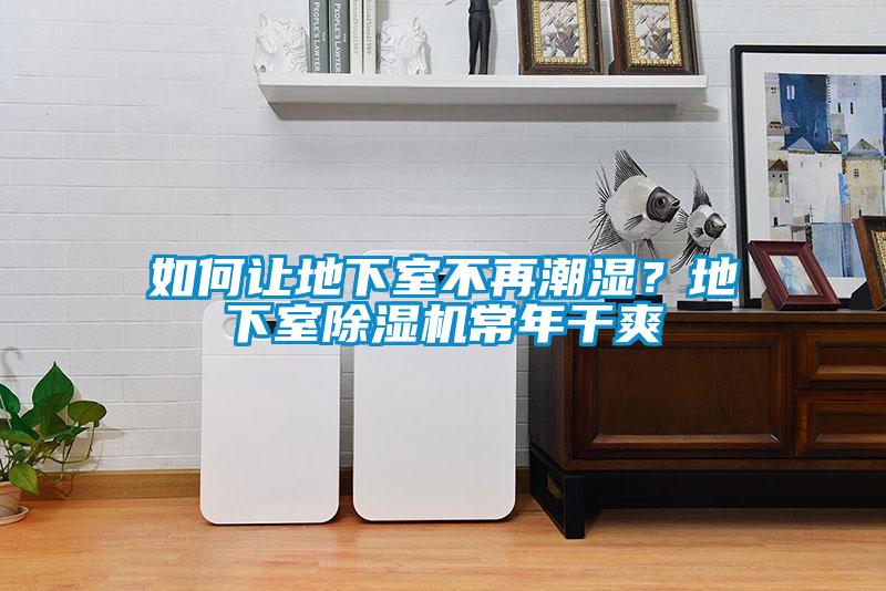 如何讓地下室不再潮濕？地下室除濕機常年干爽
