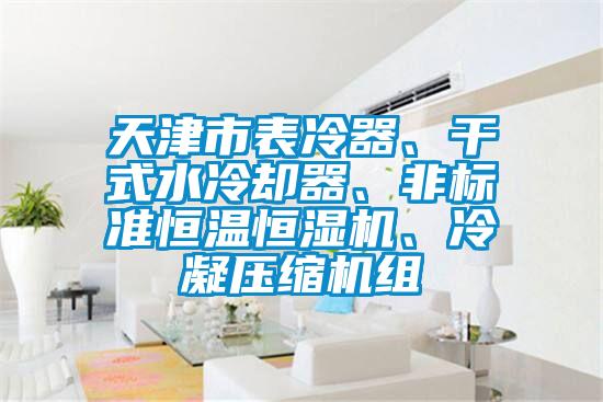 天津市表冷器、干式水冷卻器、非標準恒溫恒濕機、冷凝壓縮機組