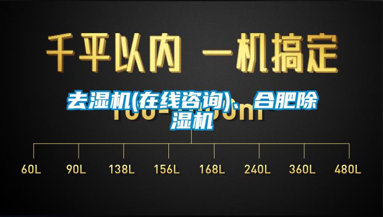 去濕機(在線咨詢)、合肥除濕機