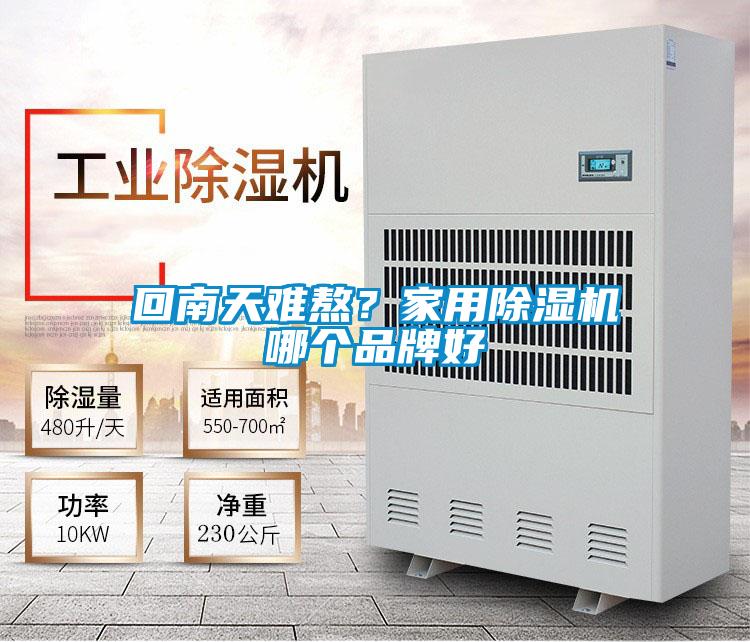 回南天難熬？家用除濕機哪個品牌好