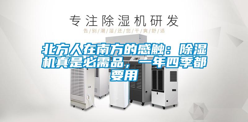 北方人在南方的感觸：除濕機真是必需品，一年四季都要用