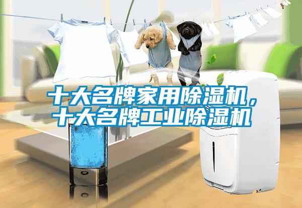 十大名牌家用除濕機，十大名牌工業除濕機