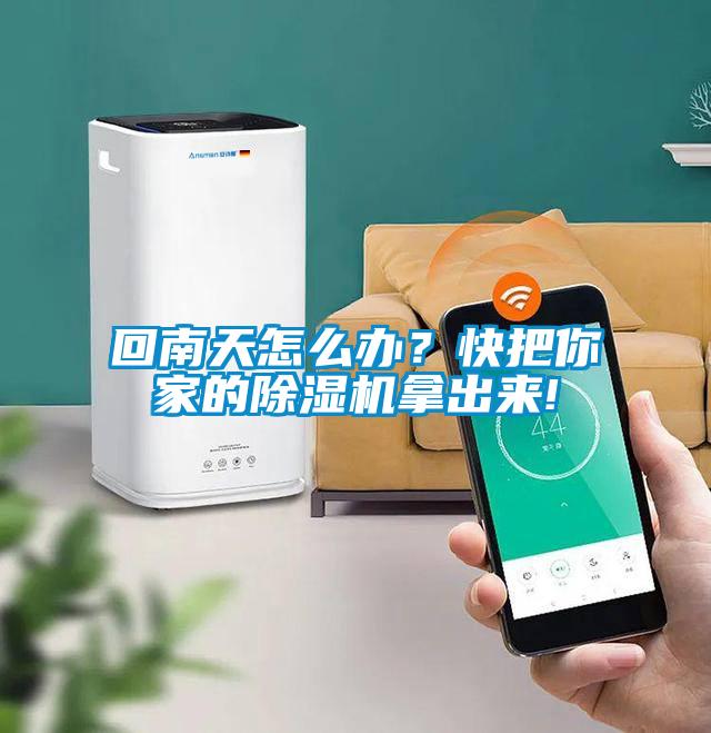 回南天怎么辦？快把你家的除濕機拿出來!