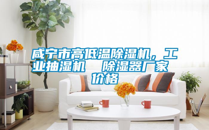 咸寧市高低溫除濕機，工業抽濕機  除濕器廠家 價格