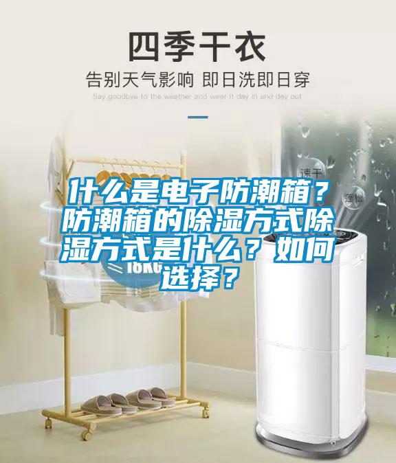 什么是電子防潮箱？防潮箱的除濕方式除濕方式是什么？如何選擇？