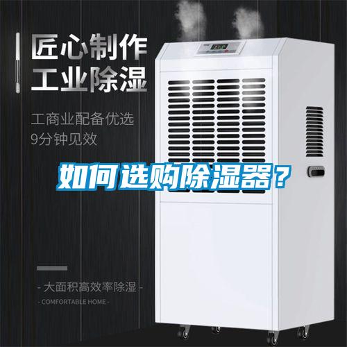如何選購除濕器？