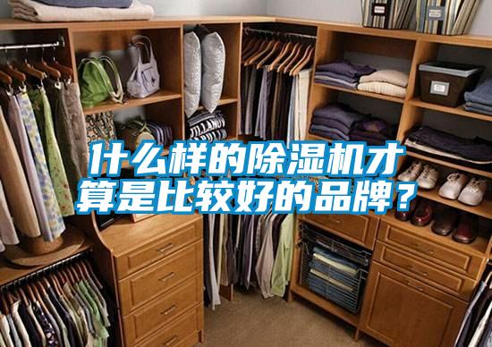 什么樣的除濕機才算是比較好的品牌？