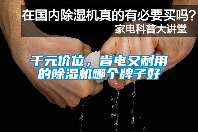 千元價位，省電又耐用的除濕機哪個牌子好