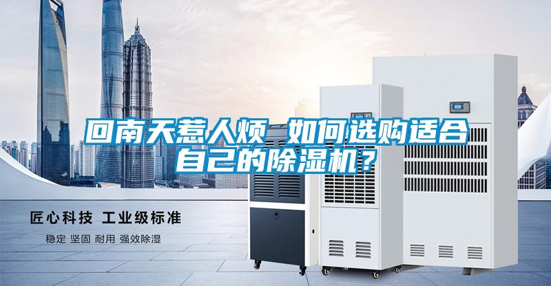 回南天惹人煩 如何選購適合自己的除濕機？