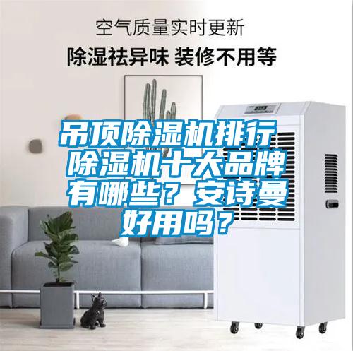 吊頂除濕機排行 除濕機十大品牌有哪些？安詩曼好用嗎？