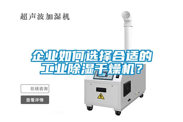 企業如何選擇合適的工業除濕干燥機？