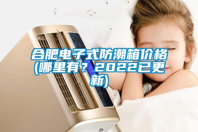 合肥電子式防潮箱價格(哪里有？2022已更新)