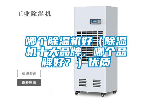 哪個除濕機好（除濕機十大品牌，哪個品牌好？）優質