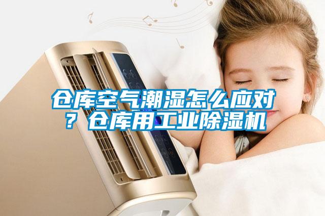 倉庫空氣潮濕怎么應對？倉庫用工業除濕機