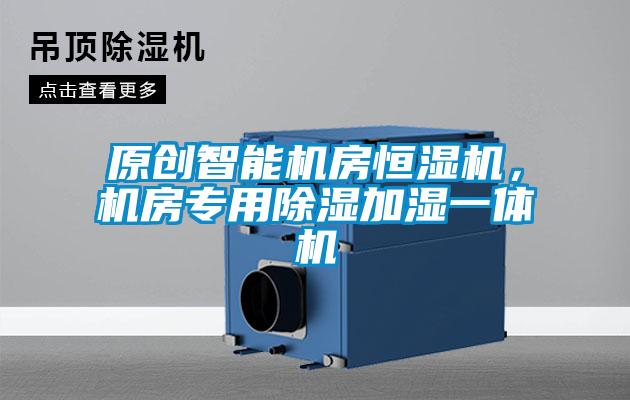 原創智能機房恒濕機，機房專用除濕加濕一體機