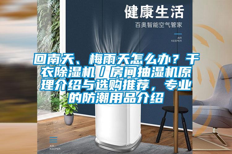 回南天、梅雨天怎么辦？干衣除濕機／房間抽濕機原理介紹與選購推薦，專業的防潮用品介紹