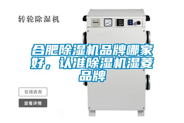 合肥除濕機品牌哪家好，認準除濕機濕菱品牌