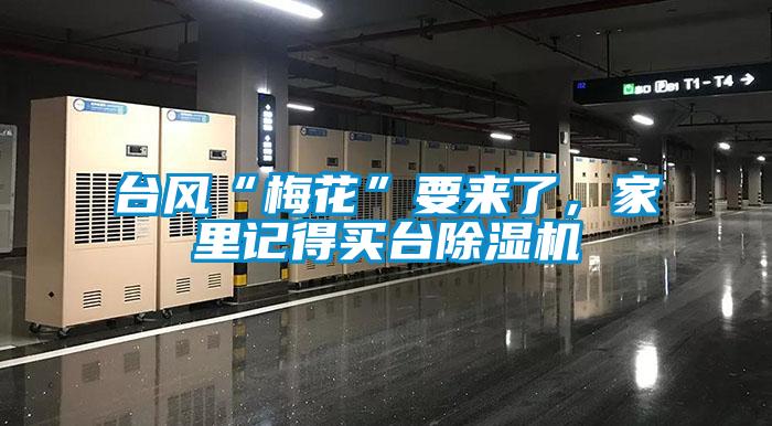 臺風“梅花”要來了，家里記得買臺除濕機
