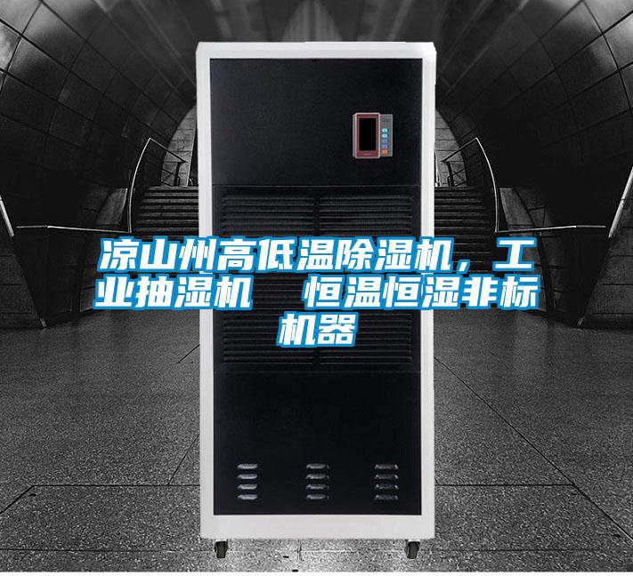涼山州高低溫除濕機，工業抽濕機  恒溫恒濕非標機器