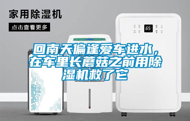 回南天偏逢愛車進水，在車里長蘑菇之前用除濕機救了它