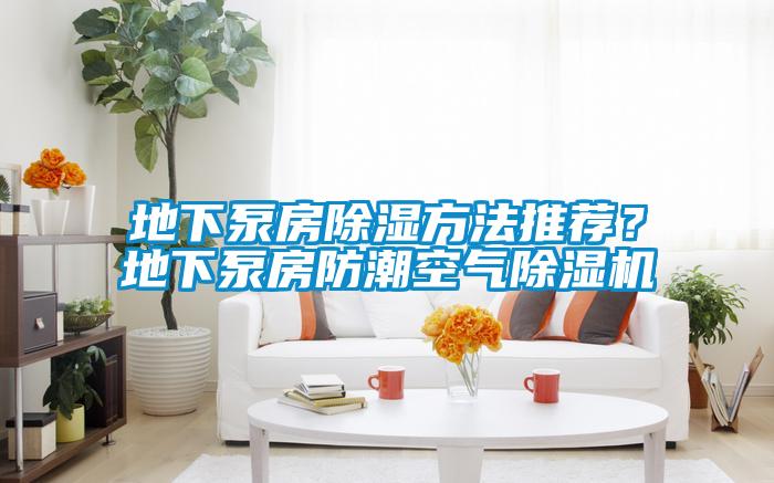 地下泵房除濕方法推薦？地下泵房防潮空氣除濕機