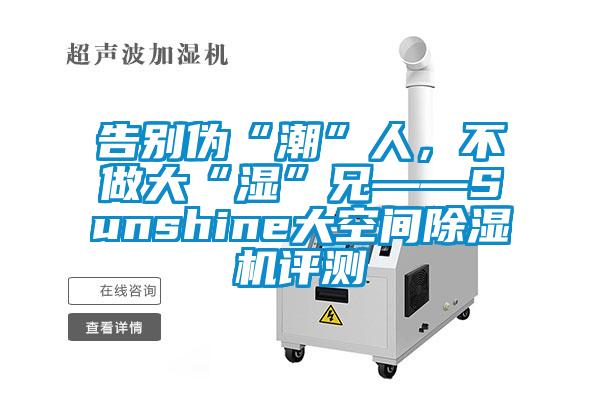 告別偽“潮”人，不做大“濕”兄——Sunshine大空間除濕機評測