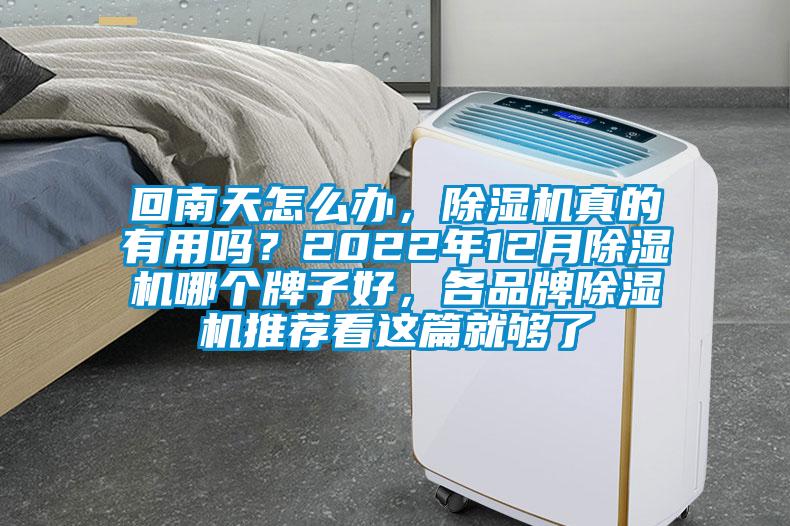 回南天怎么辦，除濕機真的有用嗎？2022年12月除濕機哪個牌子好，各品牌除濕機推薦看這篇就夠了