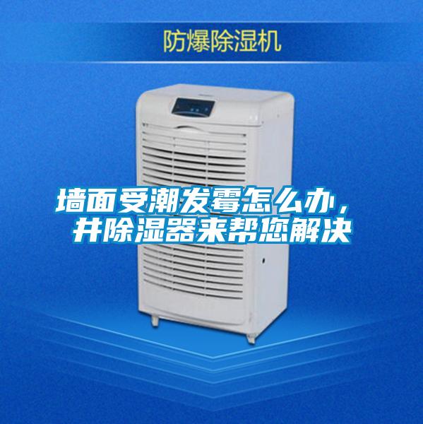 墻面受潮發霉怎么辦，東井除濕器來幫您解決