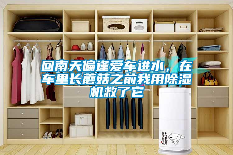 回南天偏逢愛車進水，在車里長蘑菇之前我用除濕機救了它