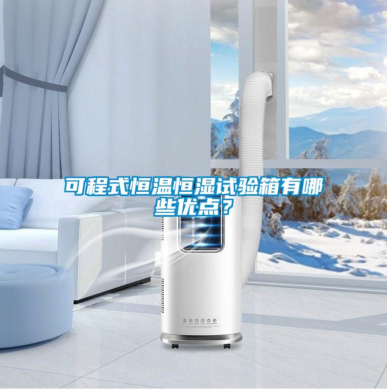 可程式恒溫恒濕試驗箱有哪些優點？