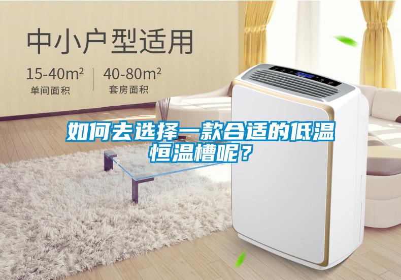 如何去選擇一款合適的低溫恒溫槽呢？