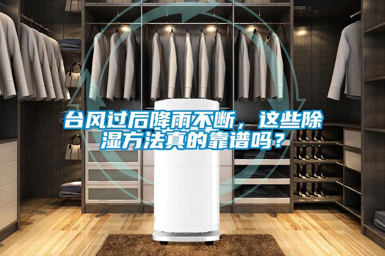 臺風過后降雨不斷，這些除濕方法真的靠譜嗎？