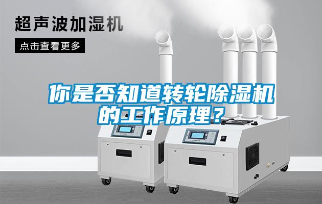 你是否知道轉輪除濕機的工作原理？
