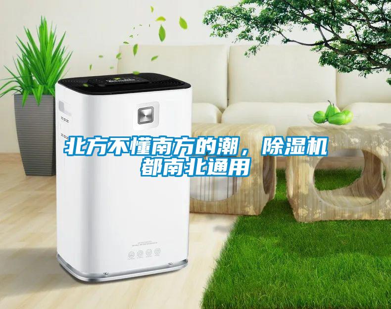 北方不懂南方的潮，除濕機都南北通用