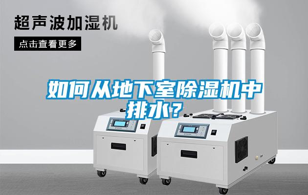 如何從地下室除濕機中排水？