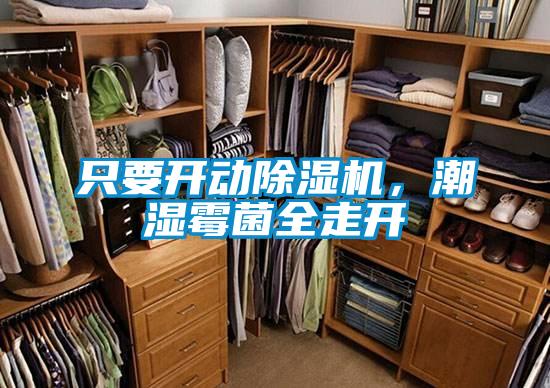 只要開動除濕機，潮濕霉菌全走開