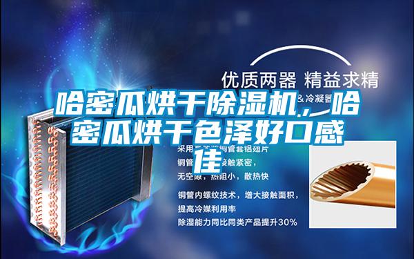 哈密瓜烘干除濕機，哈密瓜烘干色澤好口感佳