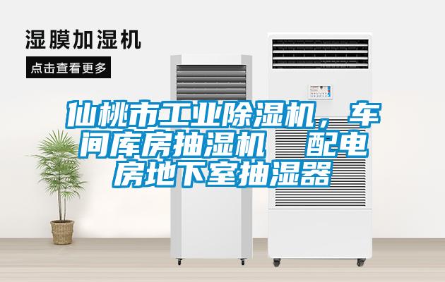 仙桃市工業除濕機，車間庫房抽濕機  配電房地下室抽濕器