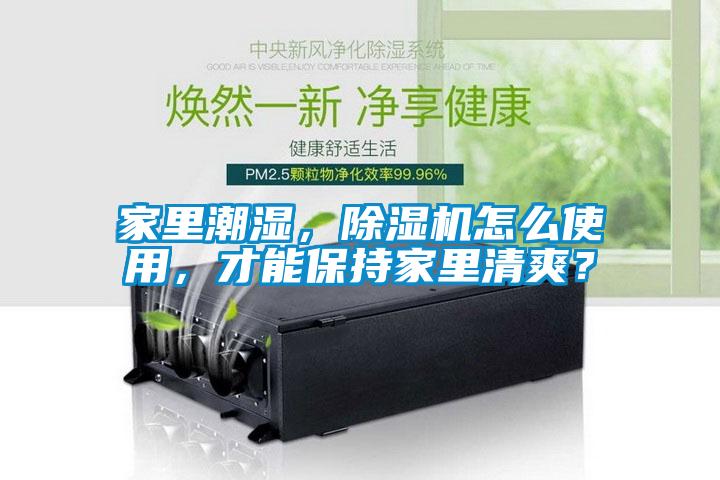 家里潮濕，除濕機怎么使用，才能保持家里清爽？