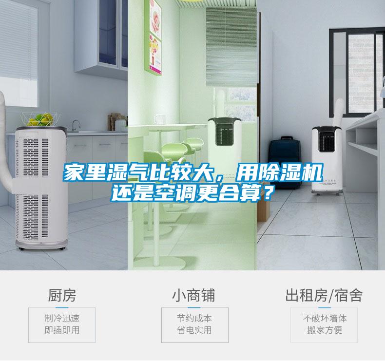 家里濕氣比較大，用除濕機還是空調更合算？