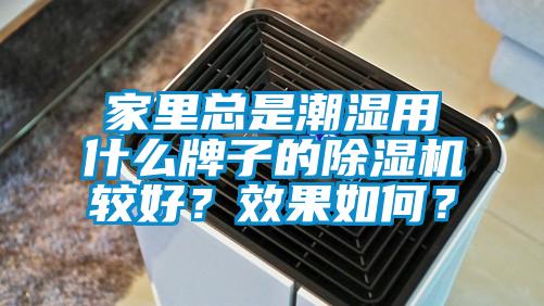 家里總是潮濕用什么牌子的除濕機較好？效果如何？