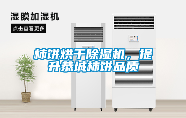 柿餅烘干除濕機，提升恭城柿餅品質