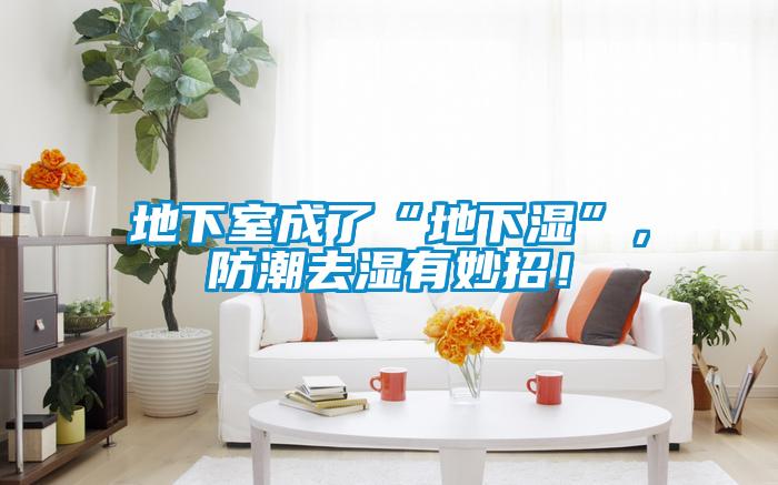 地下室成了“地下濕”，防潮去濕有妙招！