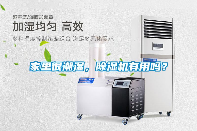 家里很潮濕，除濕機有用嗎？