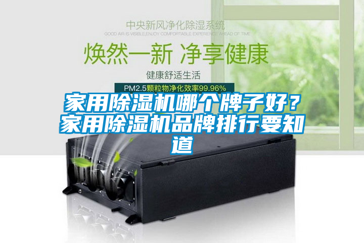 家用除濕機哪個牌子好？家用除濕機品牌排行要知道