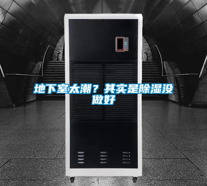 地下室太潮？其實是除濕沒做好