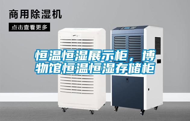 恒溫恒濕展示柜，博物館恒溫恒濕存儲柜